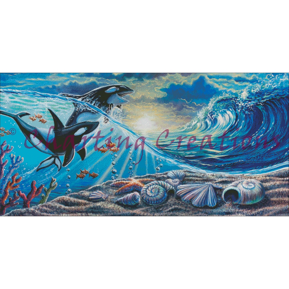 (image for) Playful Orcas